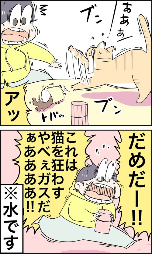 うちの猫が狂っちゃった日々2