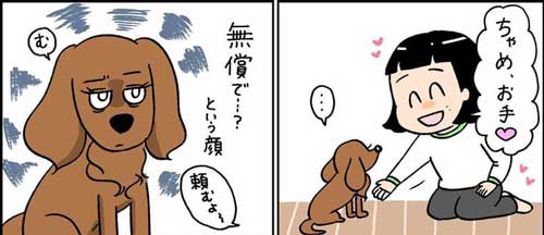 無償ではやらない 犬 媚び タイミング 知ってる お手 おやつ 愛とは