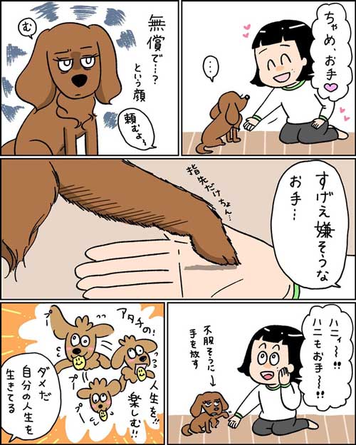無償ではやらない 犬 媚び タイミング 知ってる お手 おやつ 愛とは