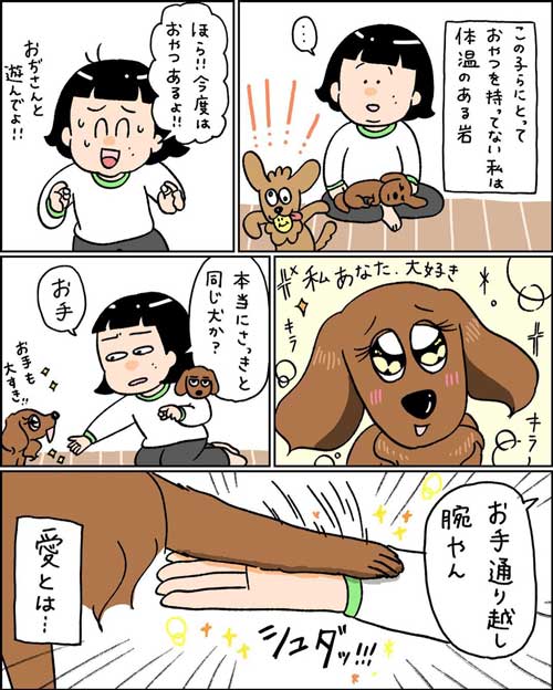無償ではやらない 犬 媚び タイミング 知ってる お手 おやつ 愛とは