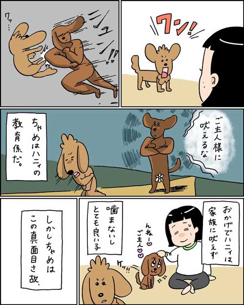 無償ではやらない 犬 媚び タイミング 知ってる お手 おやつ 愛とは