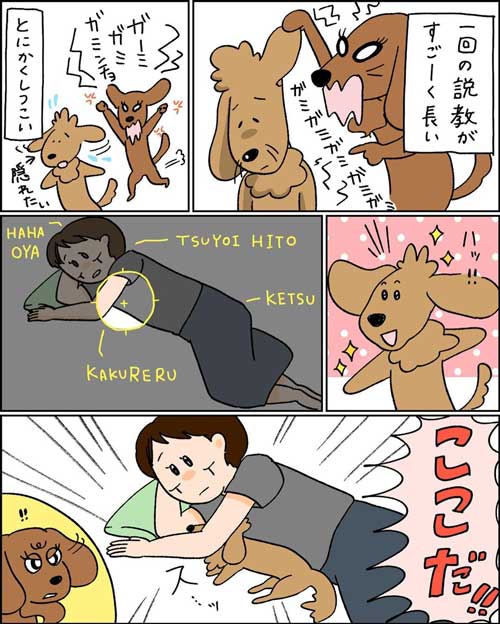 無償ではやらない 犬 媚び タイミング 知ってる お手 おやつ 愛とは