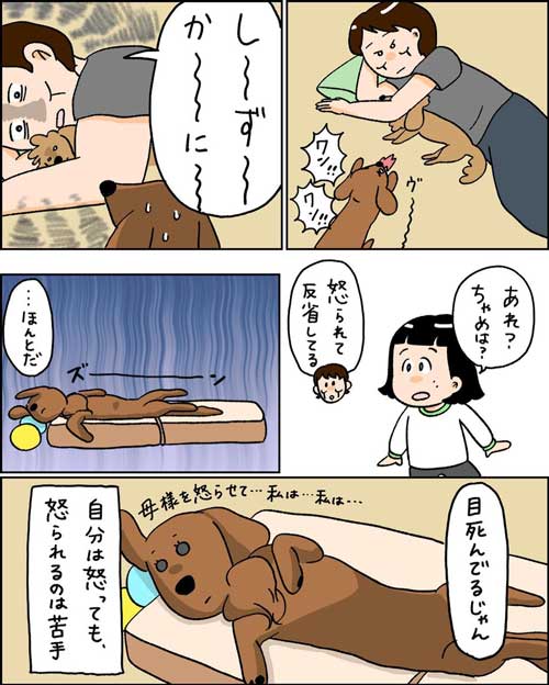 無償ではやらない 犬 媚び タイミング 知ってる お手 おやつ 愛とは