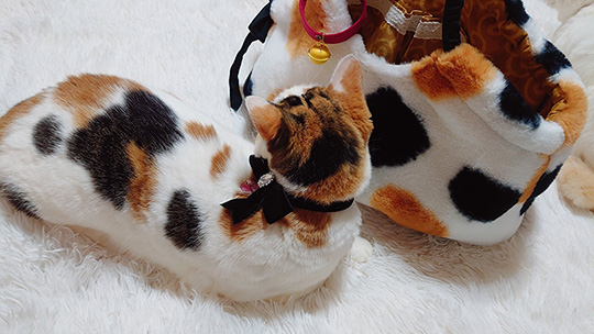 みるくくらうんさん