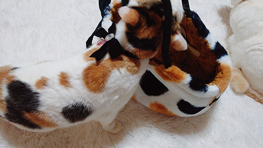 みるくくらうんさん