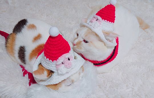 みるくくらうんさん