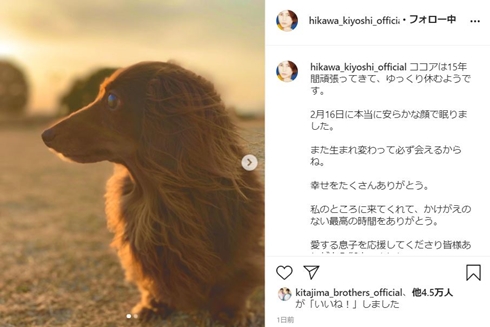 氷川きよし ココア ダックス 逝去 愛犬