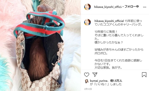 氷川きよし ココア ダックス 逝去 愛犬