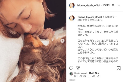 氷川きよし ココア ダックス 逝去 愛犬