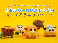 Web site image
