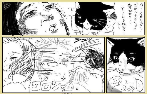 起こす猫マンガ