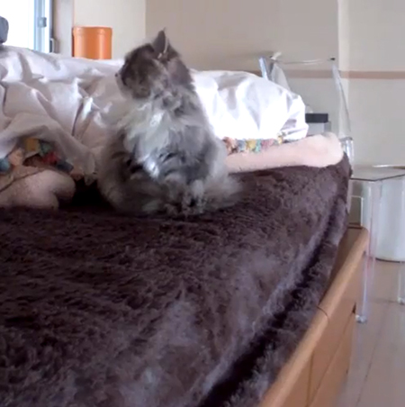 左を向くポコさん