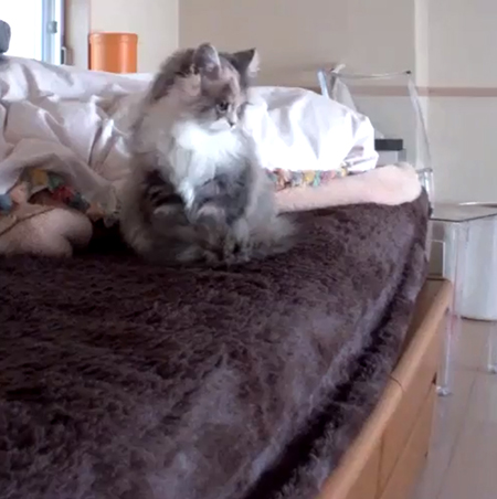 右を向くポコさん