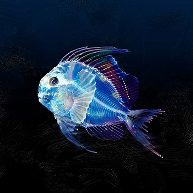 CreepyNuts バレる！ R-1 R指定 DJ松永