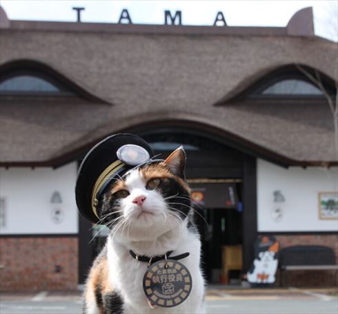 たま電車2 和歌山電鐵 貴志川線