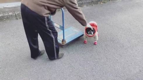 じいちゃんと犬 ノボルとりく 台車ドライブ