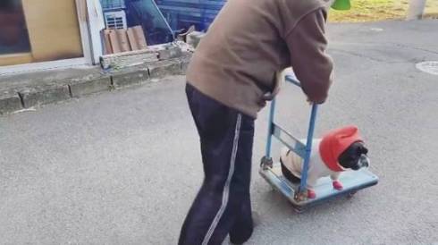 じいちゃんと犬 ノボルとりく 台車ドライブ