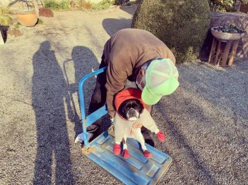 じいちゃんと犬 ノボルとりく 台車ドライブ