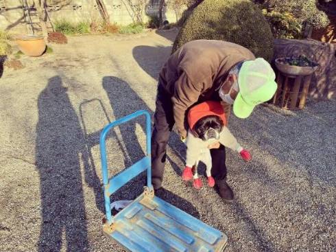 じいちゃんと犬 ノボルとりく 台車ドライブ