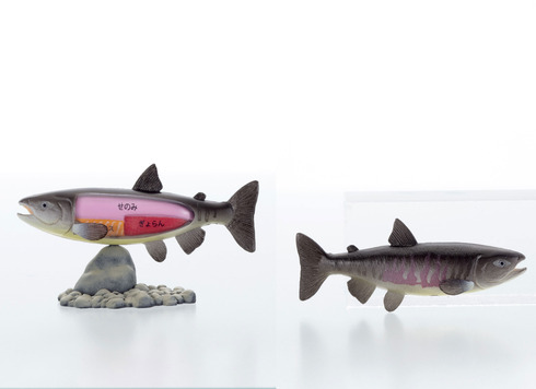 こどもの事典　なかみまるみえフィギュア　海の生き物編05