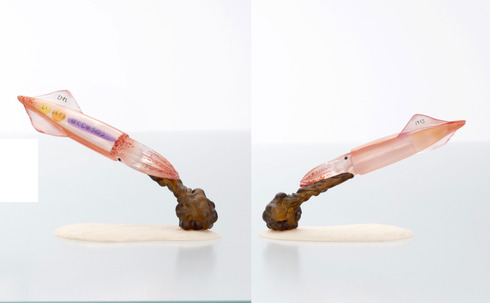 こどもの事典　なかみまるみえフィギュア　海の生き物編06