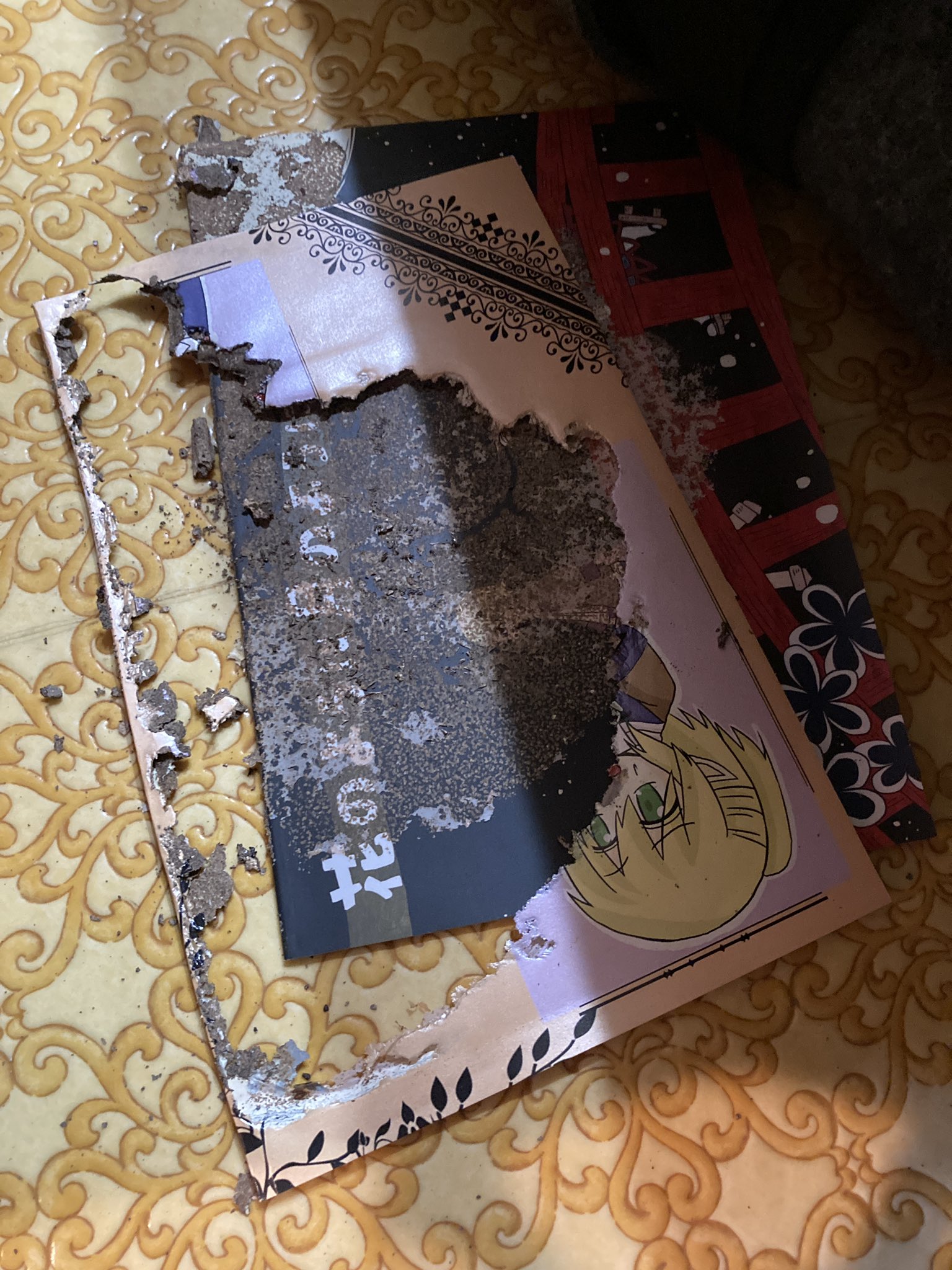 「シロアリに食べられて消滅した薄い本」無残な姿が話題に　駆除業者に保管上の注意点を聞いてみた