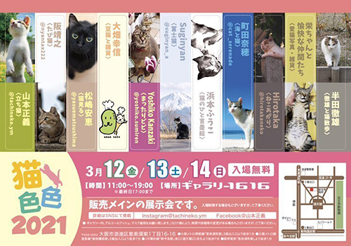 猫色色フライヤー表