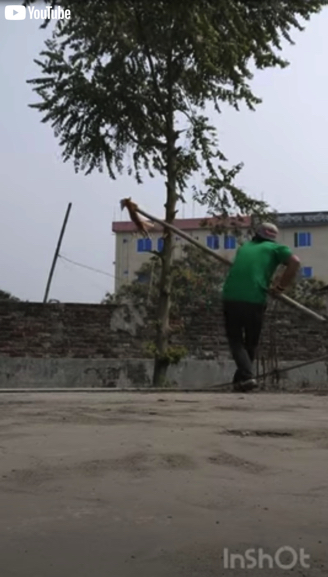 Rescuing A Kitty Who Climbed Too High || ViralHog