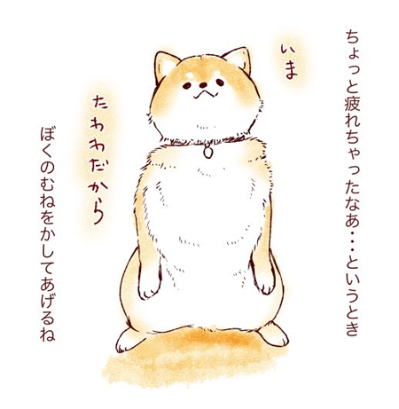 たわわな柴犬