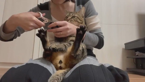 爪切りから目をそらさないとろくん