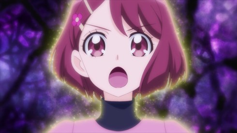 ヒーリングっど プリキュア アニメ ニチアサ