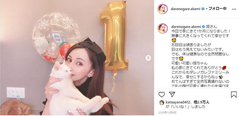 ダレノガレ明美 メイちゃん 子猫 保護