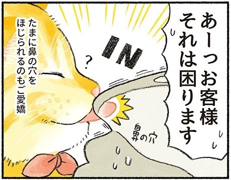 ペロリスト切り抜き