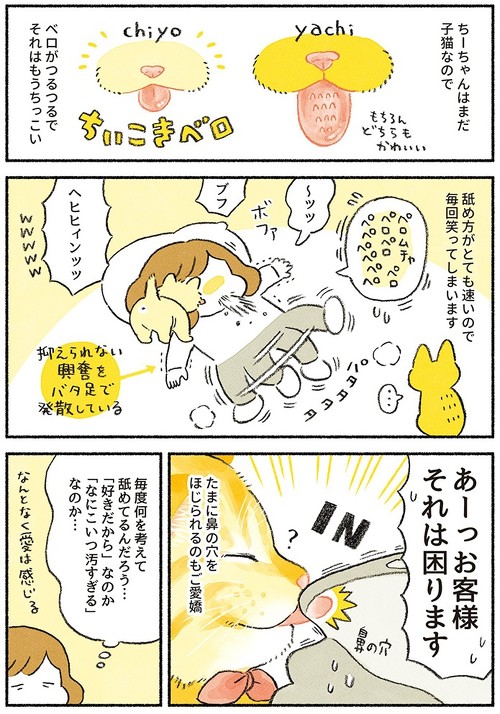 2匹のペロリストたち2