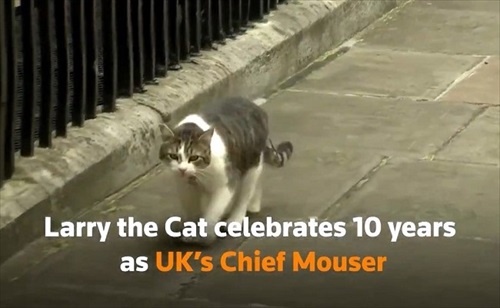 イギリス首相官邸のネズミ捕獲長ラリー