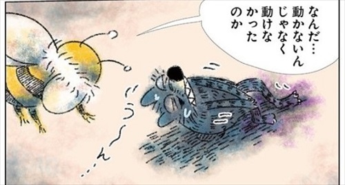 眠れないオオカミ