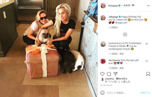 レディー・ガガ 愛犬 コージ グスタフ