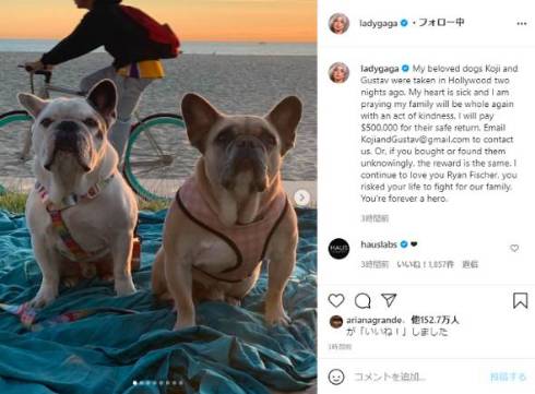 レディー・ガガ 愛犬 コージ グスタフ