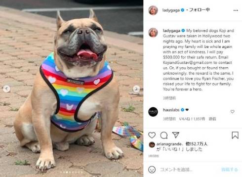 レディー・ガガ 愛犬 コージ グスタフ 