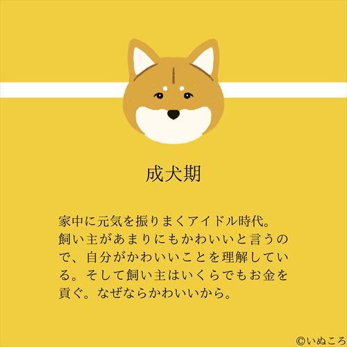 犬