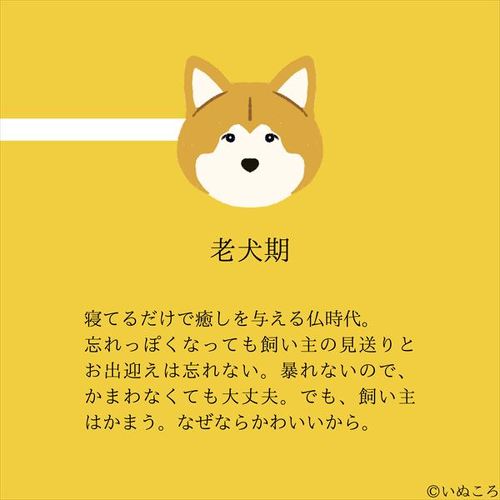 犬
