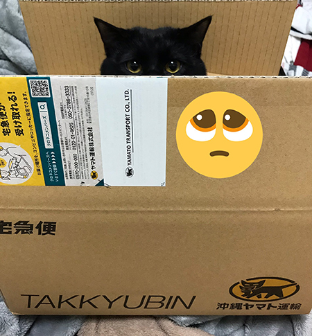 クロネコヤマトマオさん