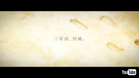 魔法科高校の劣等生 追憶編 アニメ化 早見沙織