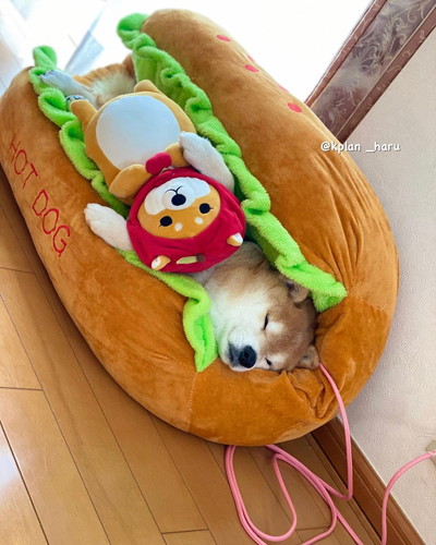 大ちゃんいろいろ