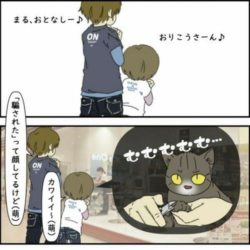 猫
