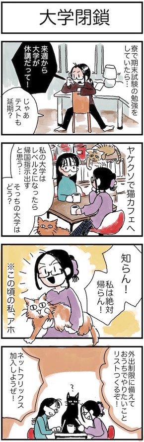 コロナ 帰国日記