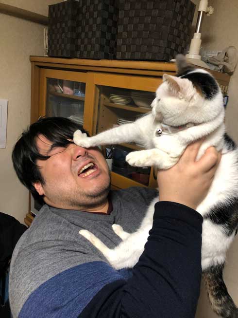 猫虚無顔