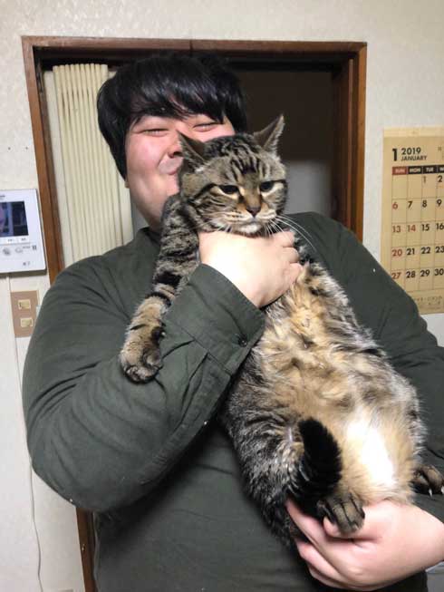 実家 猫 嫌そうな顔 スカート 澤部渡 猫の日
