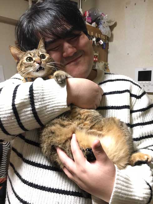 実家 猫 嫌そうな顔 スカート 澤部渡 猫の日