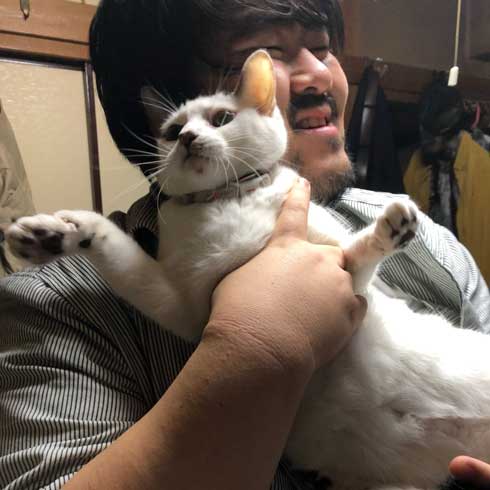 実家 猫 嫌そうな顔 スカート 澤部渡 猫の日